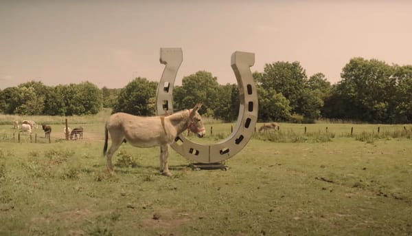 A donkey standing in front of a giant horseshoe in a field